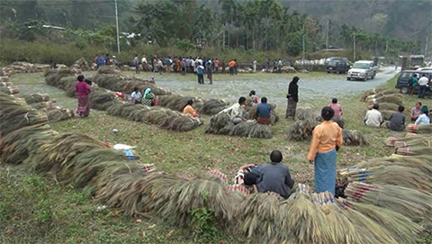 Broom cultivation thrives in Sarpang