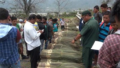 broom cultivation thrives in sarpang 3