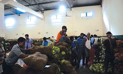 Paro cabbages fetch good price