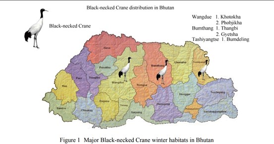 The two major migratory sites for these birds in Bhutan