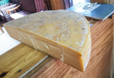 gigantic cheese in bhutan bumthang cheese factory