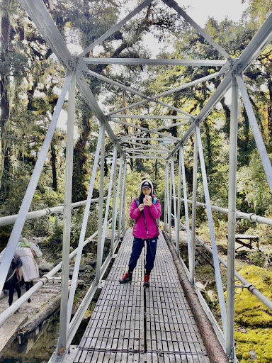 Figure 2: The many bridges we had to cross