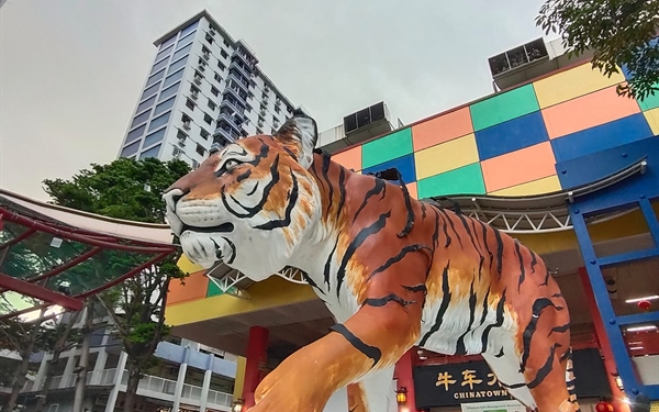 Zimbiri painted the tiger using traditional Bhutanese paint (saa-tshen)