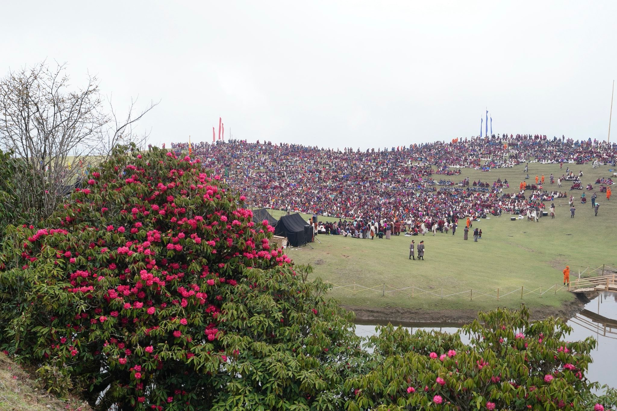 rhododendron flowers and festival in eastern bhutan