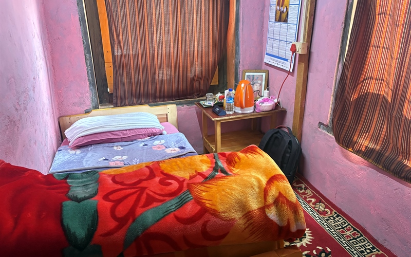 merak sheytemi rhododendron week 3