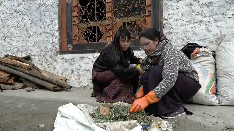 Yathra Bumthang Natural Wool Dyeing Method