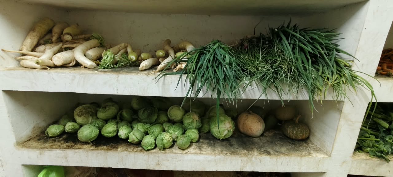 fresh vegetables in gongthung middle school