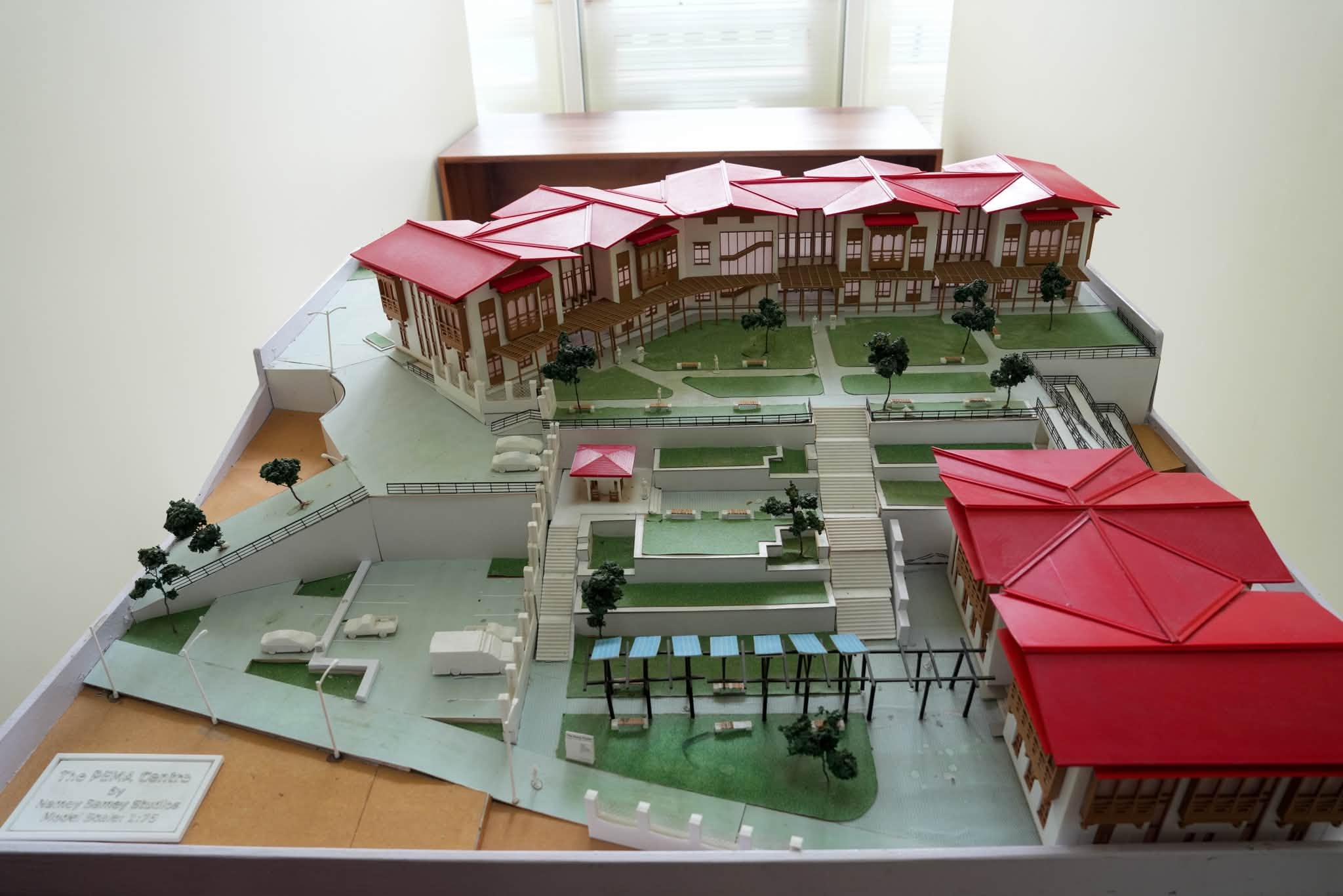 the model for bhutan mental health hospital