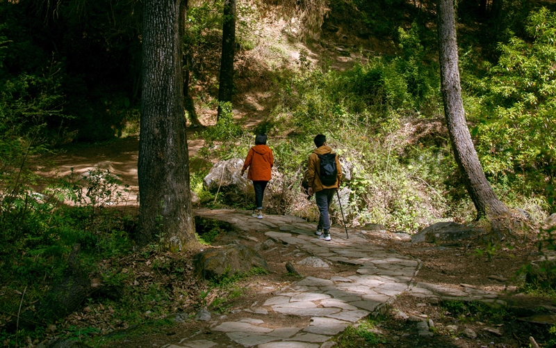how does tigers nest trail looks like