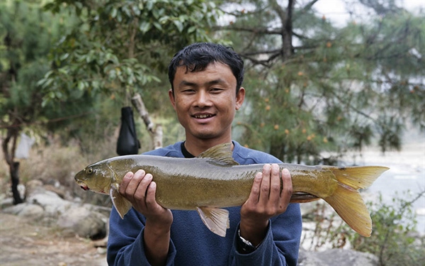 Book On ‘Fishes Of Bhutan’ Slated To Be Published - Daily Bhutan - Your