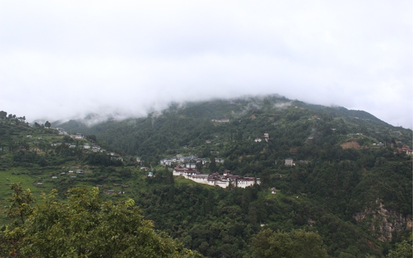 From Bhutan To College Campuses, Calculating Forests Into The Many Meanings Of Happiness