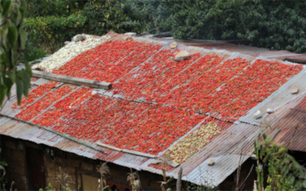 Chillies, a spicy affair in Bhutan