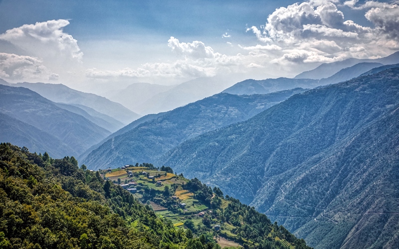 Bhutan’s Secret: The World’s Most Exquisite Hazelnuts