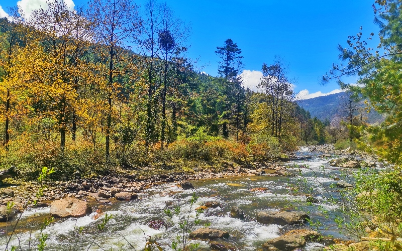 Bhutan Named Earthshot Prize Finalist for Protecting and Restoring Nature
