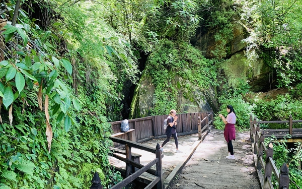 The Longest Urban Hiking Trail from PangriZampa to Lungtenphu, Thimphu