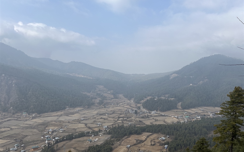 Beyond Phobjikha Why Khotokha is Bhutan’s Hidden Gem